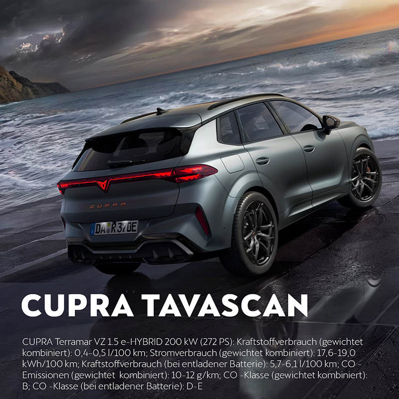 Header-Cupra-Terramar-am-Ufer-mit-Wellen-mobil