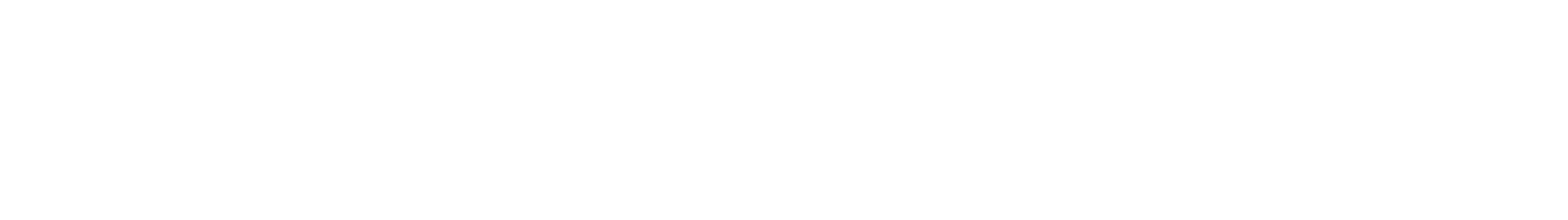 Skoda Logo weiß - 100